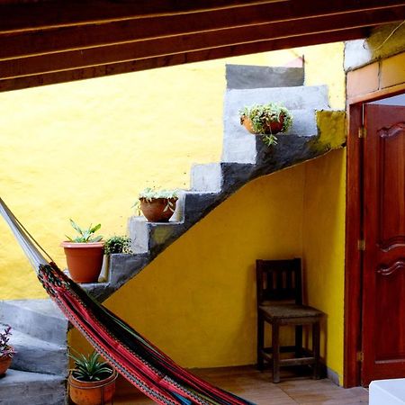 Cafe Racer Hostel Хардін Екстер'єр фото